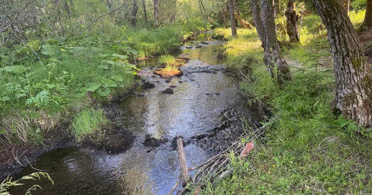 Fotografija uz vijest: Vrijeme sjutra: Sunčano i veoma toplo, popodne mogući lokalni pljuskovi i grmljavina